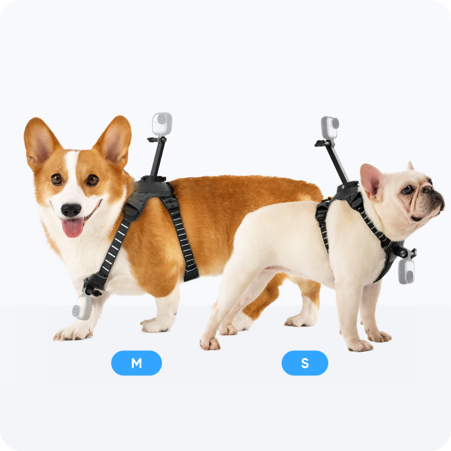 Insta360 ペット用ハーネスマウント Mサイズ Pet Harness Mount - Accessories - Insta360 Store